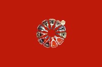 九原区回收红酒